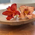 Botanica Dom wakacyjny Odargowo