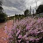 Botanica