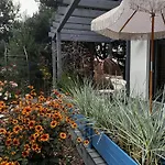 Botanica Odargowo