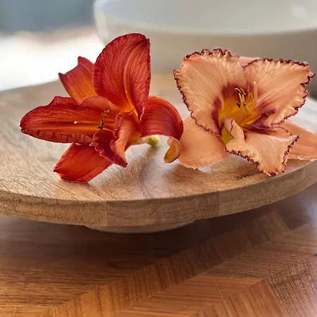 Botanica Σπίτι διακοπών Odargowo