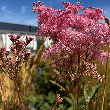 Casa de Férias Botanica Odargowo