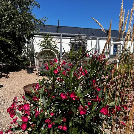 Casa de Férias Botanica *