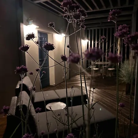 Botanica Odargowo