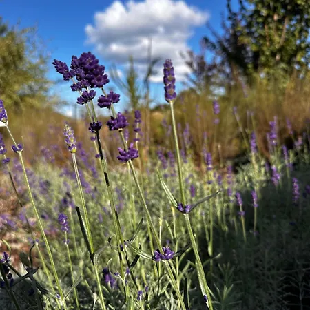Hébergement de vacances Botanica *