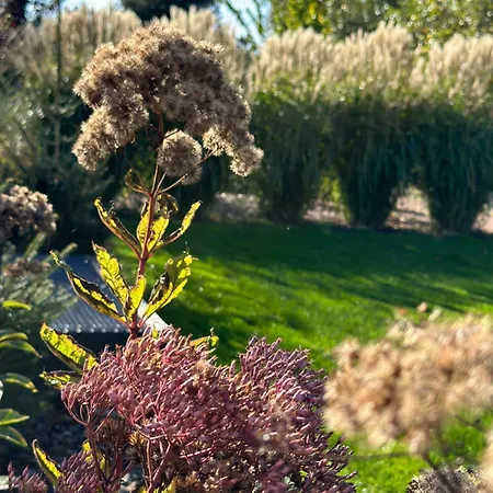 Botanica Hébergement de vacances *