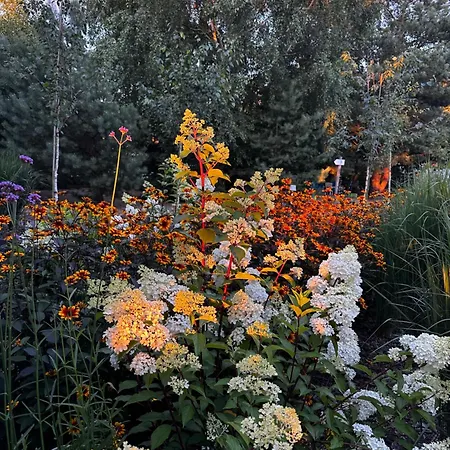 Botanica * Odargowo