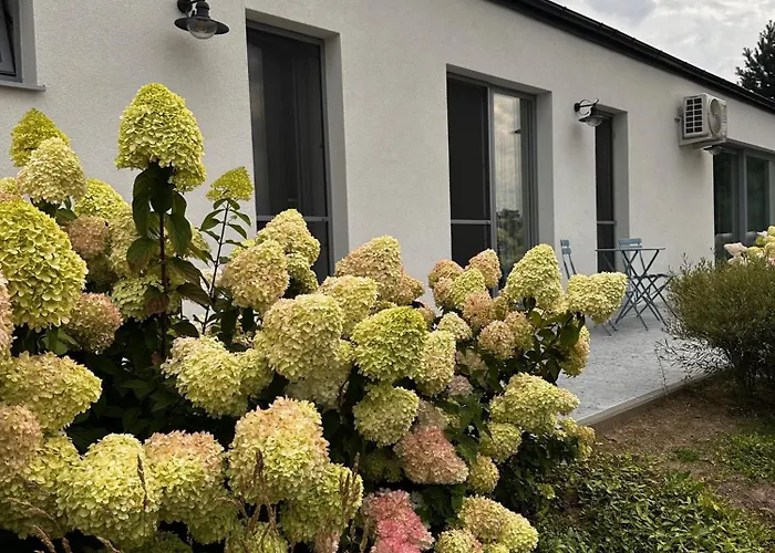 Semesterbostad Botanica Odargowo