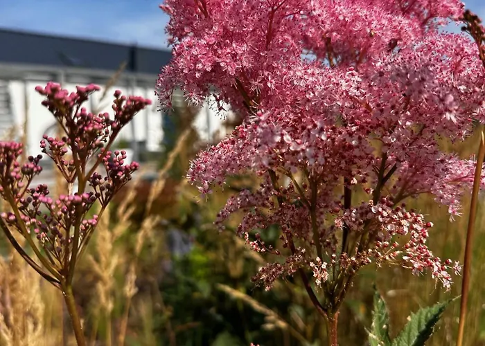 Semesterbostad Botanica Odargowo