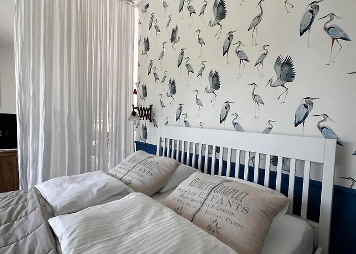 Botanica 度假居 Odargowo